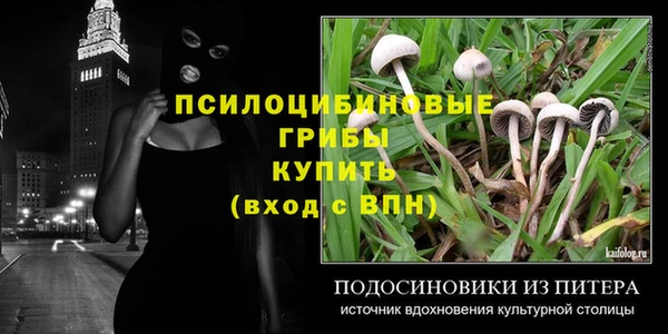 кокс Абаза