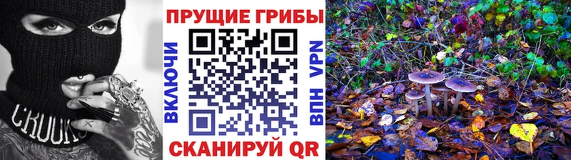 Псилоцибиновые грибы прущие грибы  Уфа 